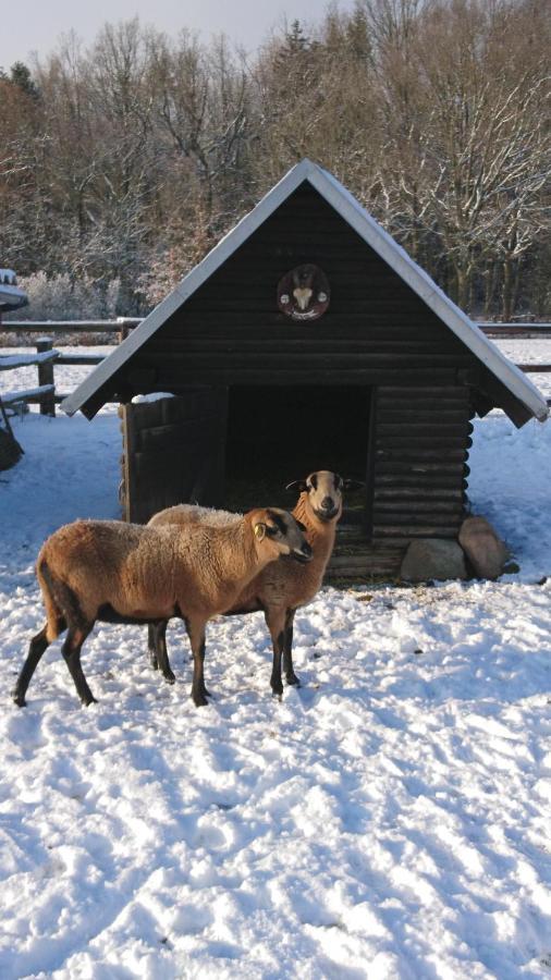 Kottmar Ferienhaus Rothemuhleヴィラ エクステリア 写真